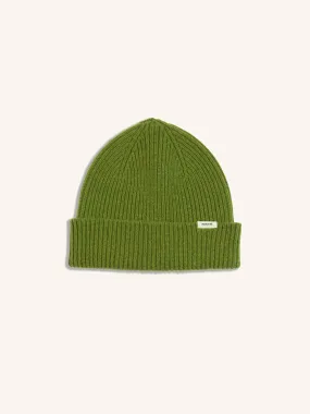 Spey Beanie in Apple Green Lambswool